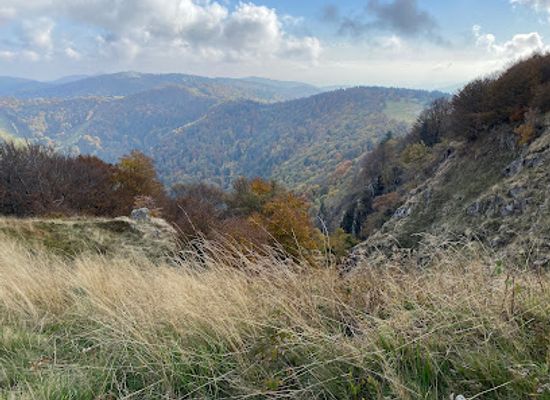 france/vosges-mountains/attraction/parc-aventure-dans-les-arbres-acropark-au-ballon-d-alsace-vosges