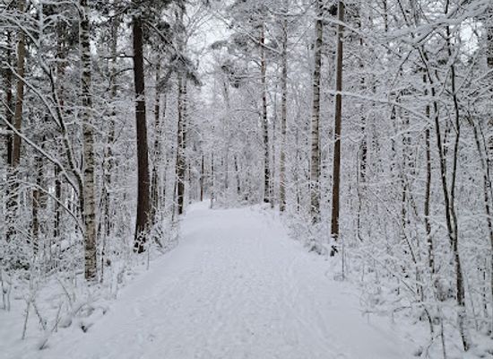 finland/lake-saimaa/attraction/lappeenrannan-pappilanniemi