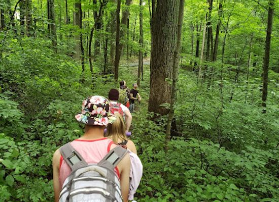 indiana/morgan-monroe-state-forest/attraction/draper-cabin