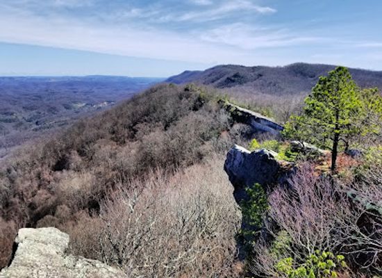 kentucky/eastern-mountain-coal-fields/attraction/bad-branch-state-nature-preserve