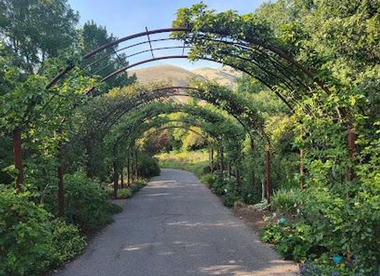 utah/heber-city/attraction/red-butte-garden-and-arboretum