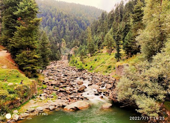 india/kashmir-valley/attraction/srunz-waterfall