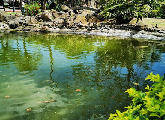 costa-rica/southern-zone/attraction/parque-okayama