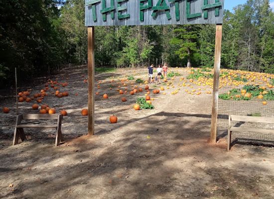 mississippi/the-gulf-coast/attraction/lazy-acres-farm-fun