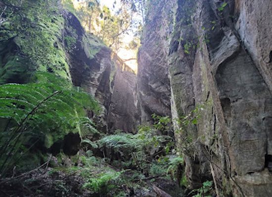 australia/southern-queensland/attraction/wards-canyon