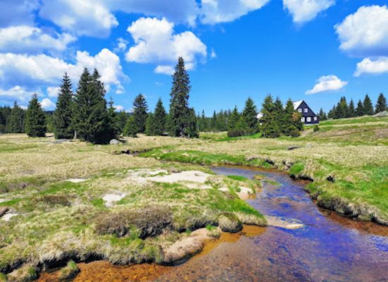 czechia/jizera-mountains/attraction/sapphire-creek