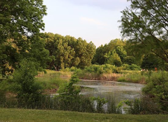 illinois/prairie-state/attraction/university-of-illinois-arboretum