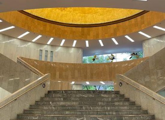 mexico/mexico-city/attraction/museo-de-arte-moderno