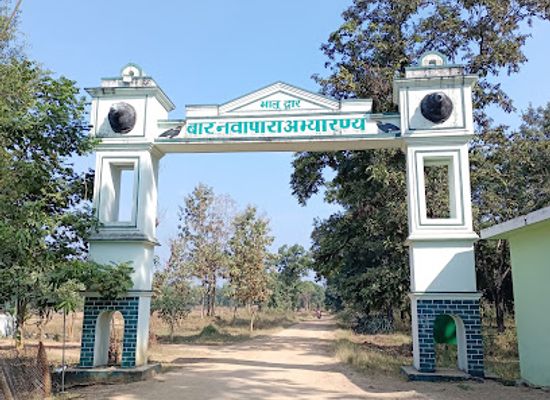 india/chhattisgarh/attraction/barnawapara-wildlife-sanctuary