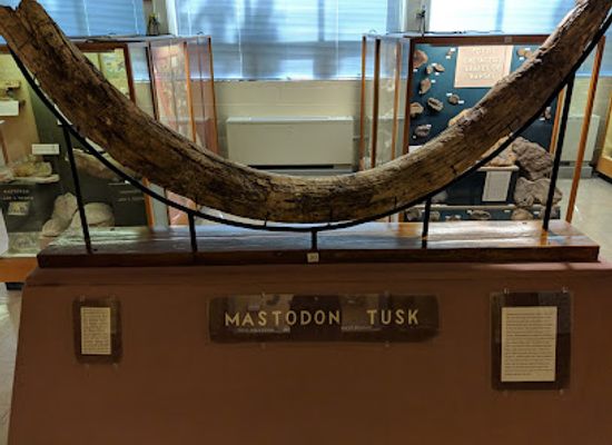kansas/emporia/attraction/johnston-geology-museum