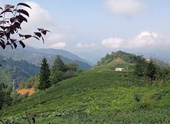 turkiye/trabzon/ortahisar/attraction/bay-panorama