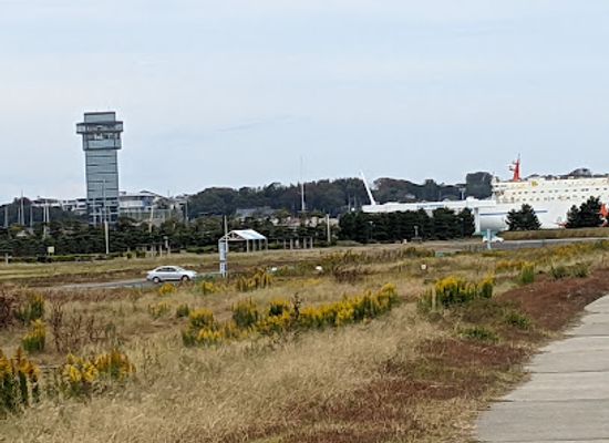 japan/hitachi/attraction/reflection-beach