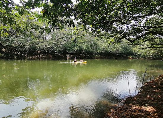 dominican-republic/sierra-de-neiba/attraction/humedales-del-ozama-national-park