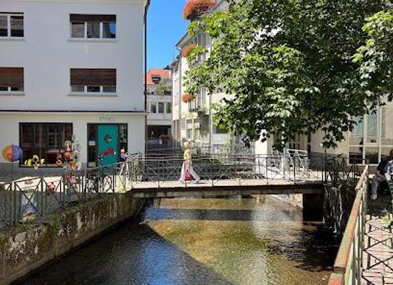 germany/freiburg/attraction/gewerbekanal