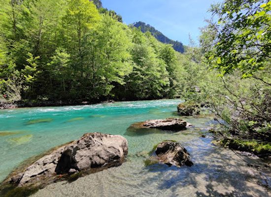 montenegro/tara-river-valley/attraction/info-rafting-tara