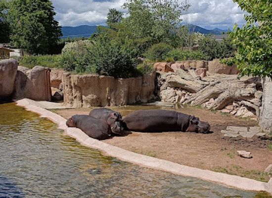 italy/val-di-susa/attraction/isola-dei-lemuri-zoom-torino