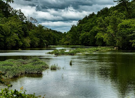 alabama/cahaba-valley/attraction/cahaba-river-national-wildlife-refuge