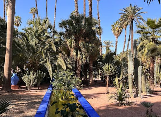 morocco/marrakech/hivernage/attraction/jardin-majorelle