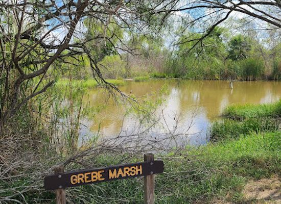 texas/red-river-valley/attraction/estero-llano-grande-state-park