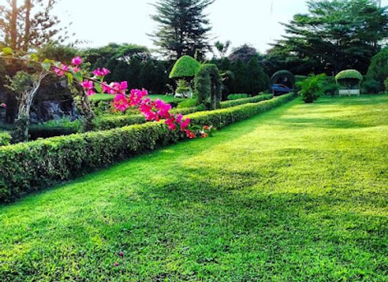 nigeria/lagos/ikeja/attraction/jhalobia-landscaping-company-and-botanical-garden-in-lagos-nigeria