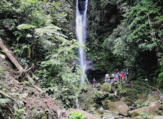 peru/san-martin/attraction/waterfall-ahuashiyacu