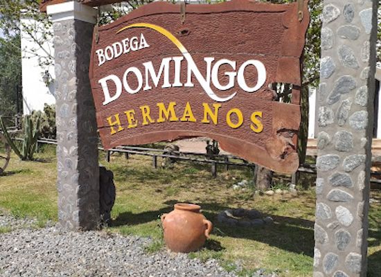argentina/western-argentina/attraction/bodega-domingo-hermanos
