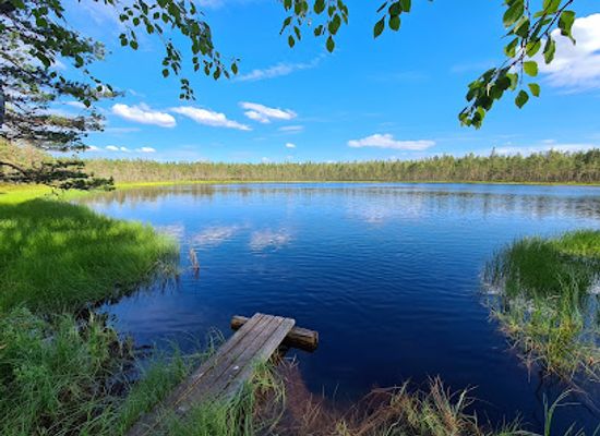 finland/savo/attraction/lauhanvuori-national-park