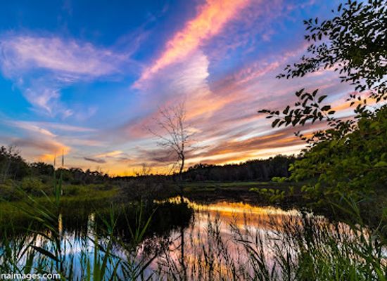 michigan/the-thumb/attraction/sand-point-nature-preserve