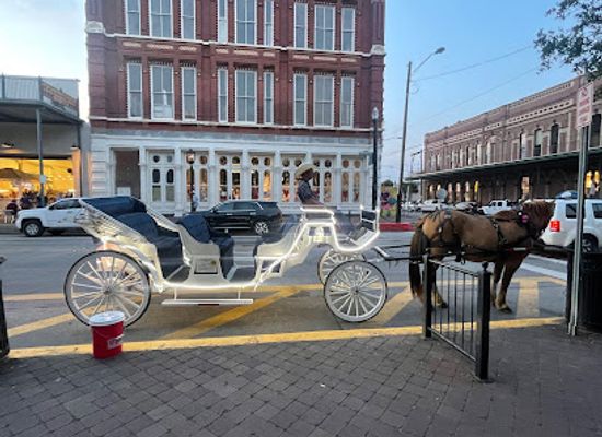 texas/galveston/attraction/galveston-carriage-tours-by-sacred-spur-carriage