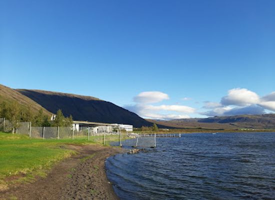 iceland/southern-region/attraction/hot-spring-bake-bread-in-the-ground