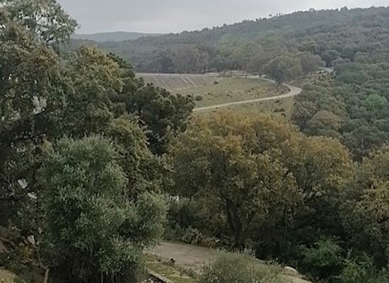 tunisia/the-kroumirie-mountains/attraction/kroumirie