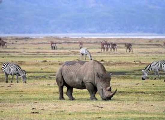 tanzania/arusha/attraction/tanzania-adventure-tanzania-tour-operator-tanzania-2000-adventure