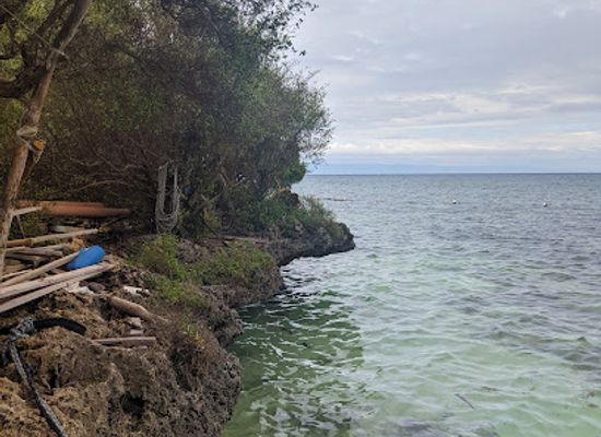 philippines/siquijor/attraction/caticugan-marine-sanctuary