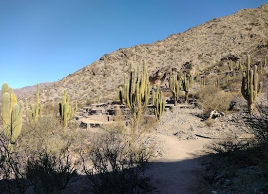 argentina/andean-northwest/attraction/quilmes-ruins