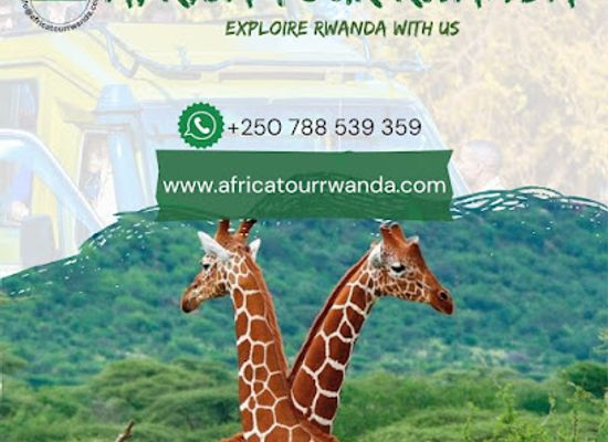 rwanda/kigali/attraction/africa-tours-rwanda-safari