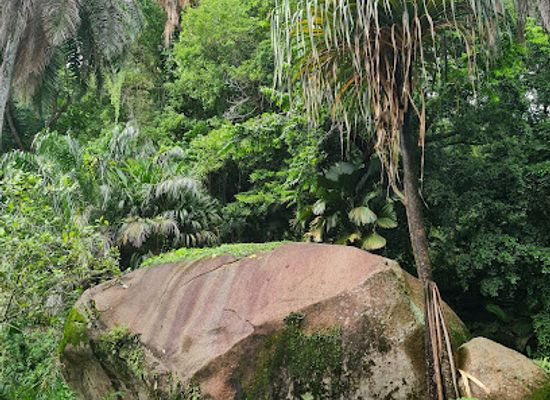 seychelles/port-glaud/attraction/giant-tortoise-enclosure