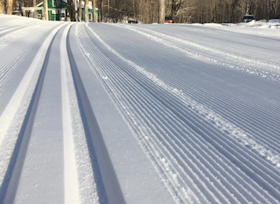 vermont/bennington-county/attraction/wild-wings-ski-touring-center