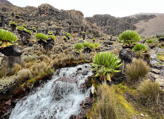 kenya/kilimanjaro-region/attraction/mount-kenya
