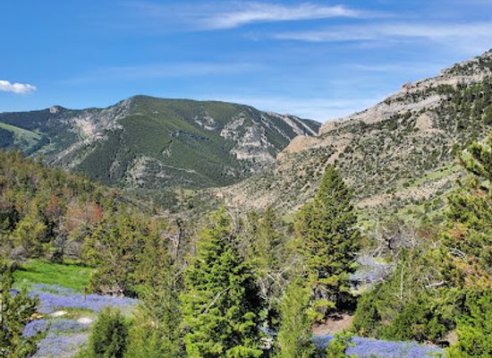 montana/helena/attraction/lewis-clark-caverns-state-park