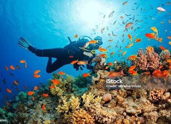 israel/eilat/attraction/aqaba-frogman-diving-center