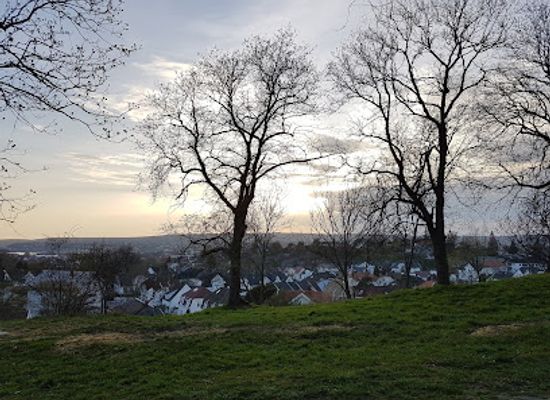 norway/fredrikstad/attraction/brattliparken