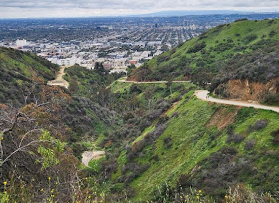 california/los-angeles-county/attraction/runyon-canyon-park