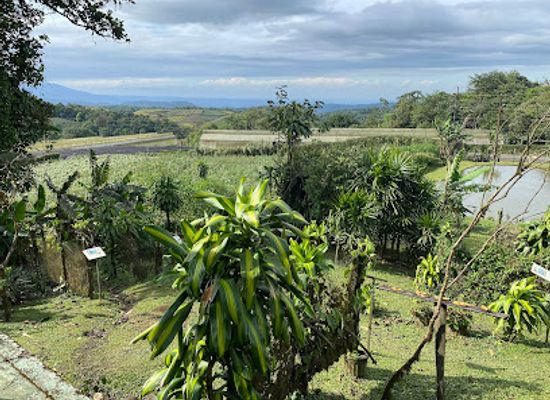 costa-rica/limon/attraction/bosque-nuboso-el-cocora