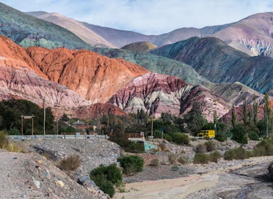 argentina/purmamarca/attraction/algarrobo-historico