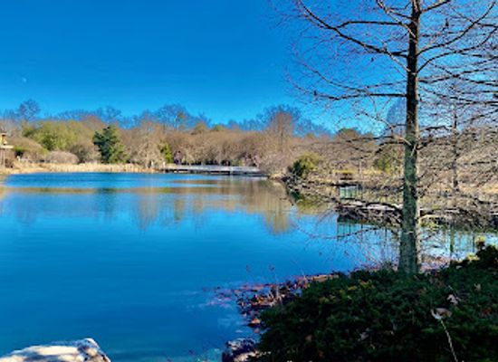 virginia/northern-neck/attraction/lewis-ginter-botanical-garden