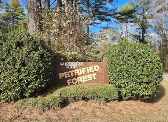mississippi/the-delta/attraction/mississippi-petrified-forest
