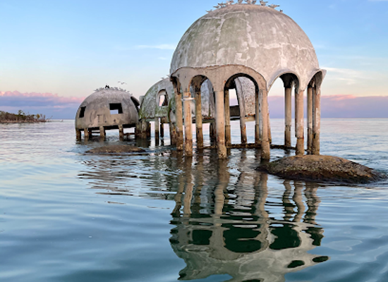 florida/marco-island/attraction/dreamlander-tours-of-marco-island