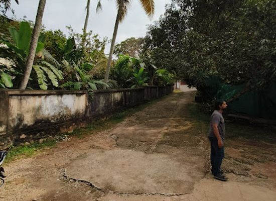 india/trivandrum/attraction/aliyans-location