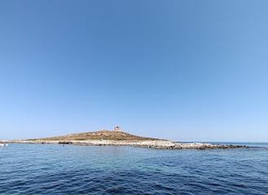 italy/palermo/attraction/riserva-naturale-orientata-isola-delle-femmine