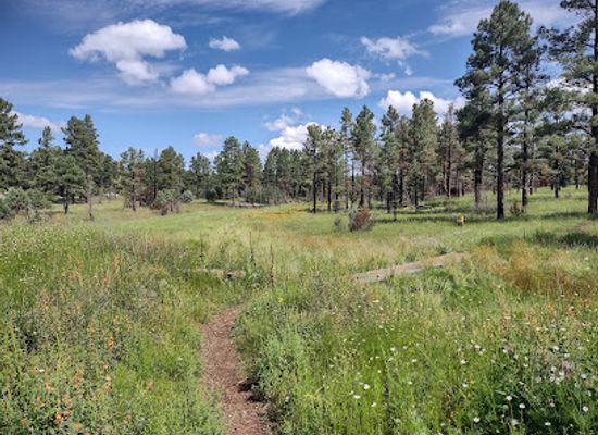 arizona/white-mountains/attraction/white-mountain-nature-center